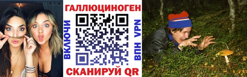 дарнет шоп  Севск  Псилоцибиновые грибы Cubensis 